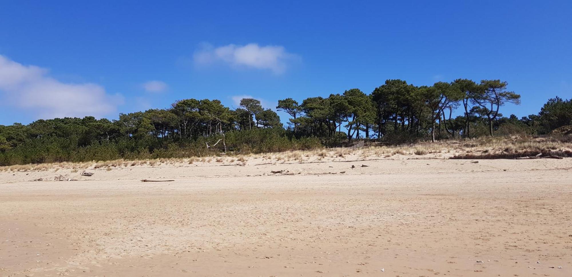 Les Rochers De Vallieres, Appartement De 35 M2 Avec 1 Chambre, Terrasses, Jardin 140 M2, Vue Panoramique Face A L'Ocean ! Saint-Georges-de-Didonne Luaran gambar